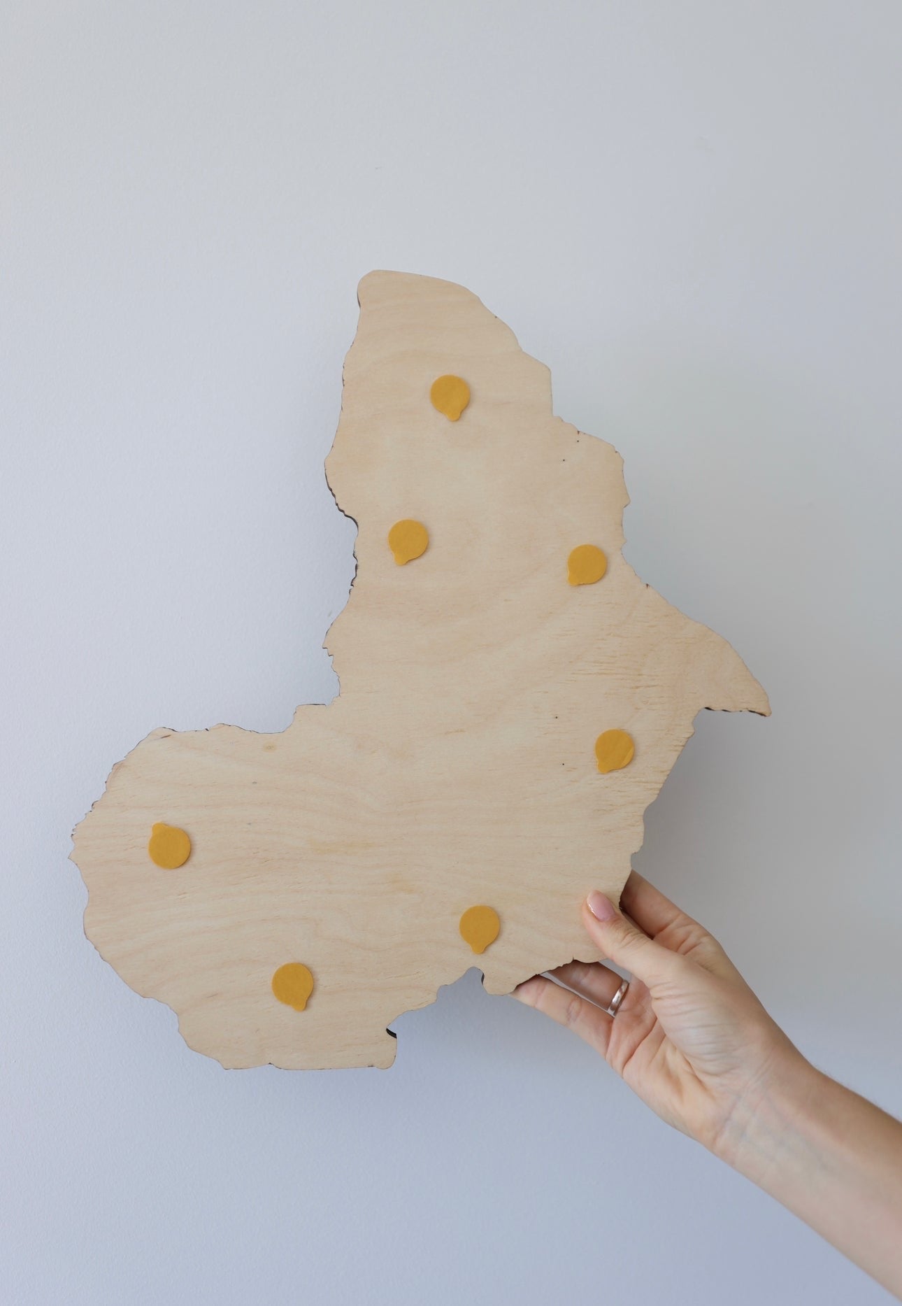 2D Mapa Decorativo "Terra" em Madeira 100% natural com oferta de pins de bandeiras de todos os países do mundo (287) por tempo limitado!⏳